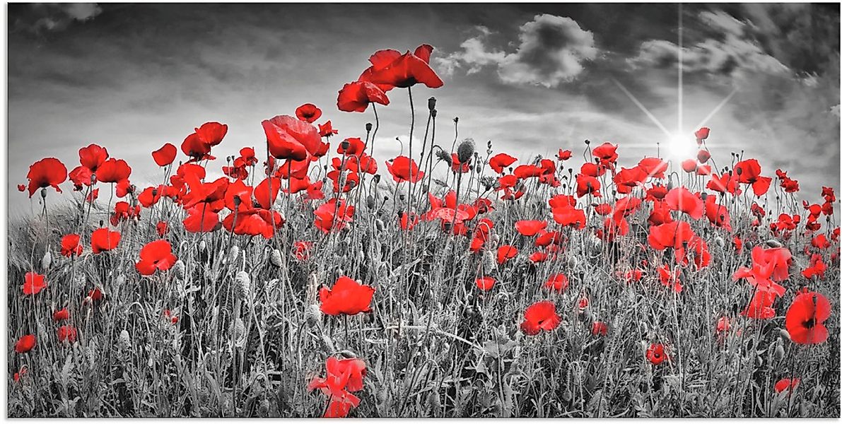 Artland Wandbild "Idyllisches Mohnblumenfeld mit Sonne" Blumen 1 Stk. tlg. günstig online kaufen