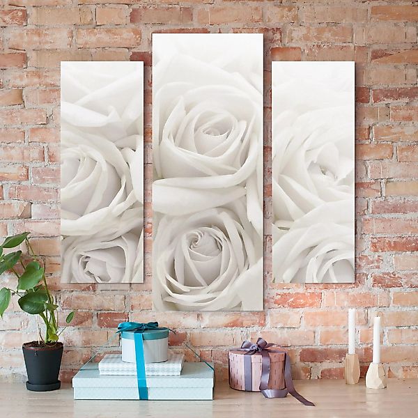3-teiliges Leinwandbild Blumen - Querformat Weiße Rosen günstig online kaufen