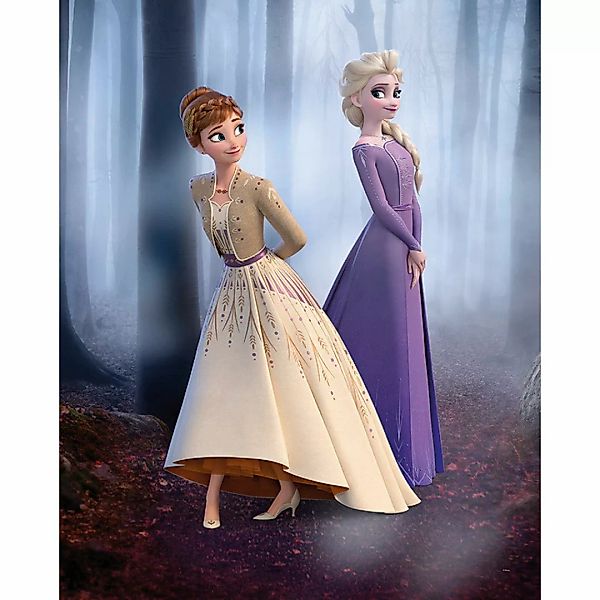 Komar Poster Frozen Wood Walk Disney B/L: ca. 40x50 cm günstig online kaufen