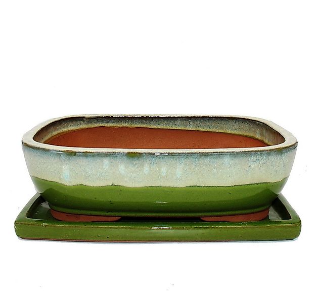 Exotenherz Pflanzschale Bonsai-Schale Unterteller Gr.6 Grün-Beige rechtecki günstig online kaufen