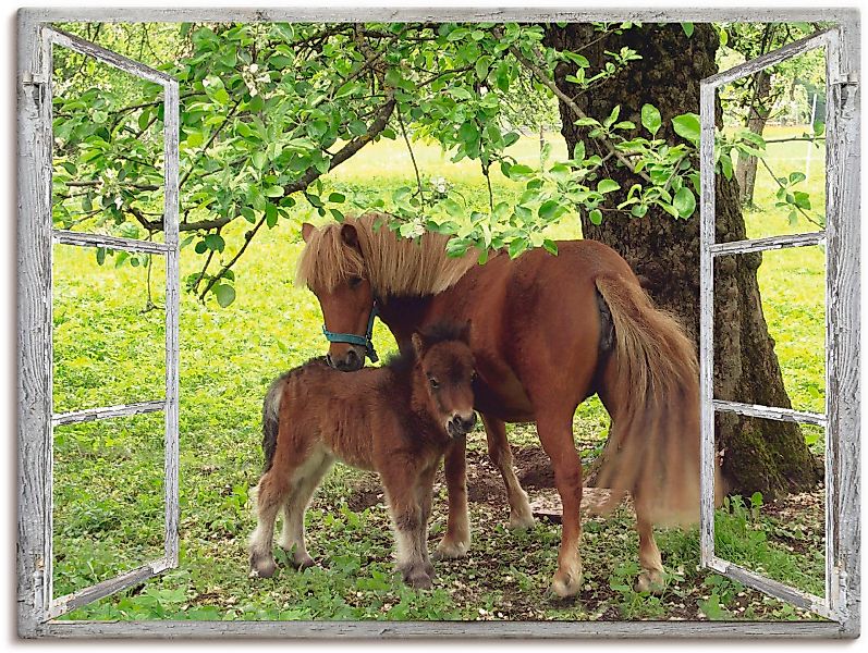 Artland Wandbild »Fensterblick - Pony mit Kind«, Haustiere, (1 St.) günstig online kaufen