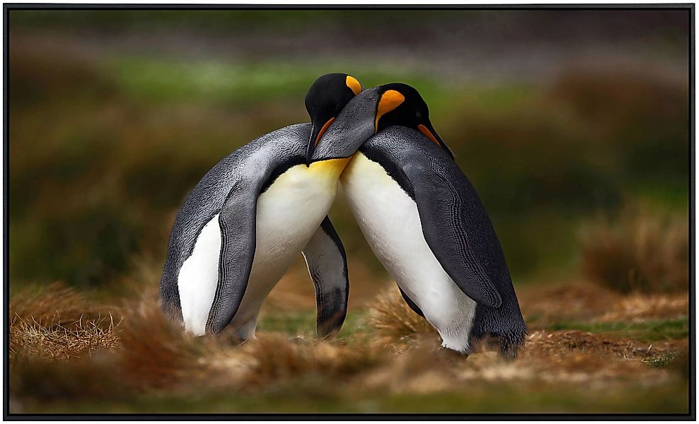Papermoon Infrarotheizung »Pinguine«, sehr angenehme Strahlungswärme günstig online kaufen