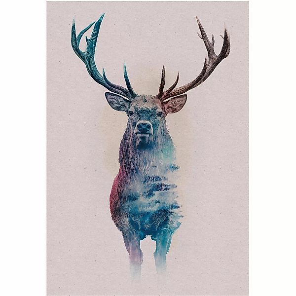 Komar Wandbild Animals Deer 50 x 70 cm günstig online kaufen