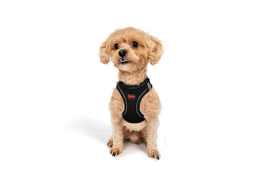 Jumeon Hunde-Geschirr Air Mesh - 3XS-2XS-XS-S GROßE, Strapazierfähig & lang günstig online kaufen