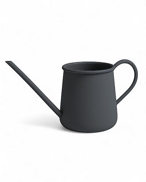 LIVLIG Gießkanne 1 Liter, Gießkanne klein, Gießkanne für Zimmerpflanzen (L2 günstig online kaufen