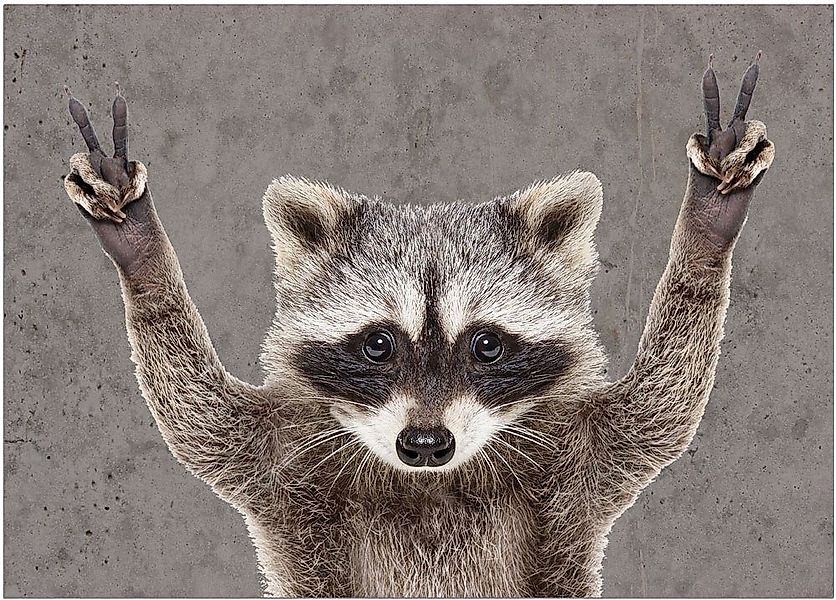 matches21 HOME & HOBBY Fußmatte Türmatte Waschbär lustig in 50x70 cm als Fu günstig online kaufen