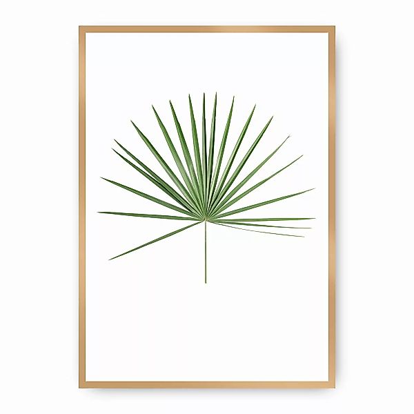 Poster Tropical Leaf Green, 30 x 40 cm, Rahmen wählen: gold günstig online kaufen