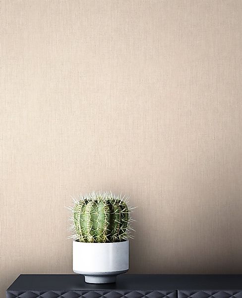 Newroom Vliestapete, Beige Tapete Uni Einfarbig günstig online kaufen