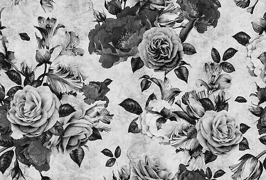 living walls Fototapete »Walls by Patel Spanish Rose 1« glatt Vlies, Wand, günstig online kaufen