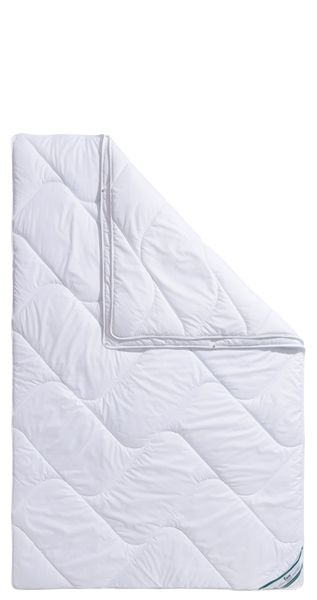 fan Microfaserbettdecke "Microfaser kochfest, Bettdecken für Sommer und Win günstig online kaufen