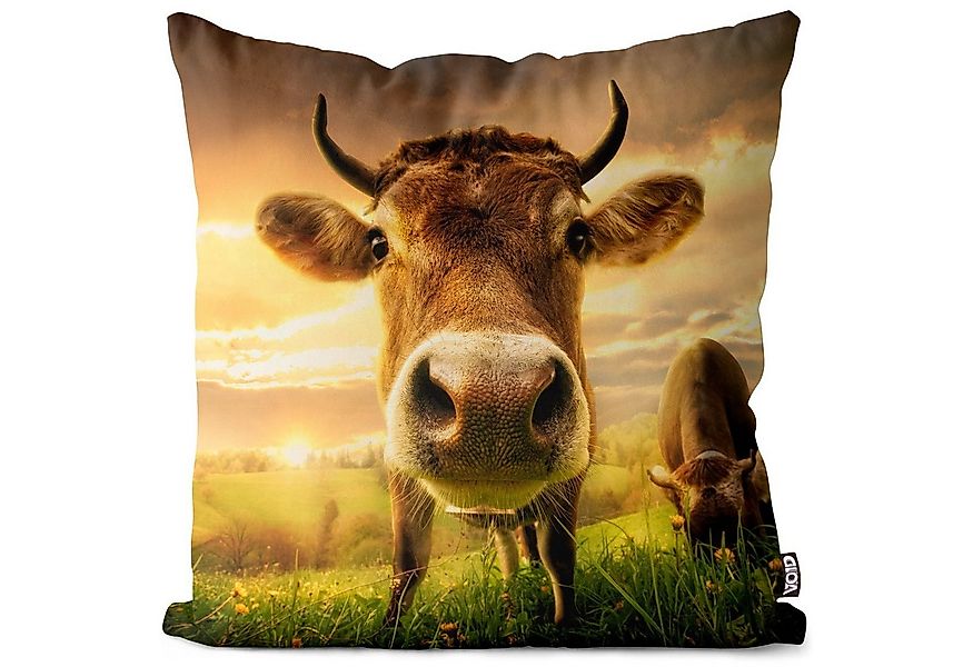 VOID Kissenbezug, (1 Stück), Kuh Weide Landschaft Natur Tiere Bauernhof Wal günstig online kaufen