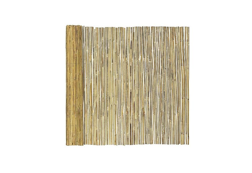 Karat Sichtschutzzaunmatten Bambus-Sichtschutzzaun Brasil günstig online kaufen