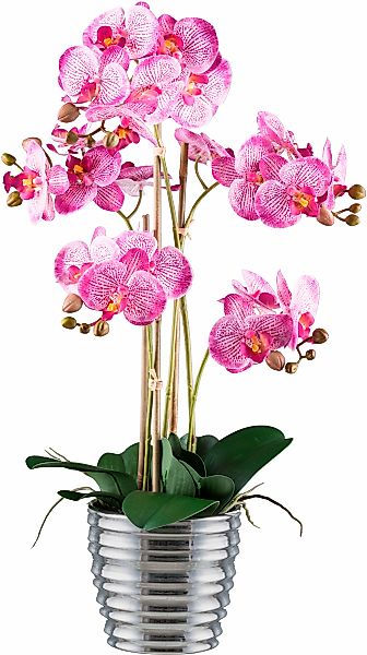 Creativ green Kunstorchidee "Orchidee Phalaenopsis", mit silberfarbenem Ker günstig online kaufen