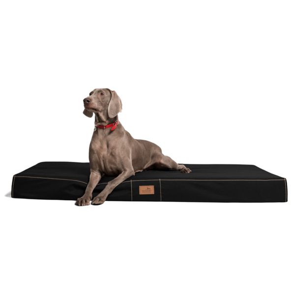 tierlando® Tierbett Orthopädische Hundematratze HUGO Ortho günstig online kaufen