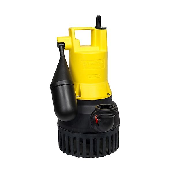 PENTAIR Jung Pumpen Tauchpumpe Jung Pumpen günstig online kaufen