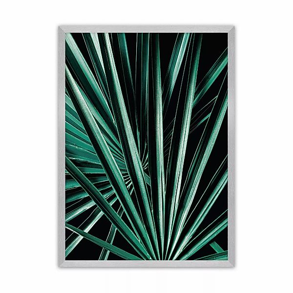 Poster Dark Palm Tree, 50 x 70 cm, Rahmen wählen: silber günstig online kaufen