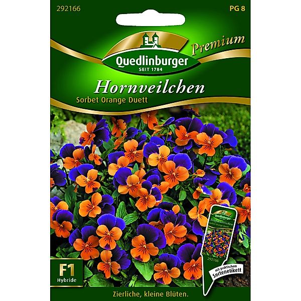 Quedlinburger Hornveilchen ''Sorbet Orange Duett'' günstig online kaufen