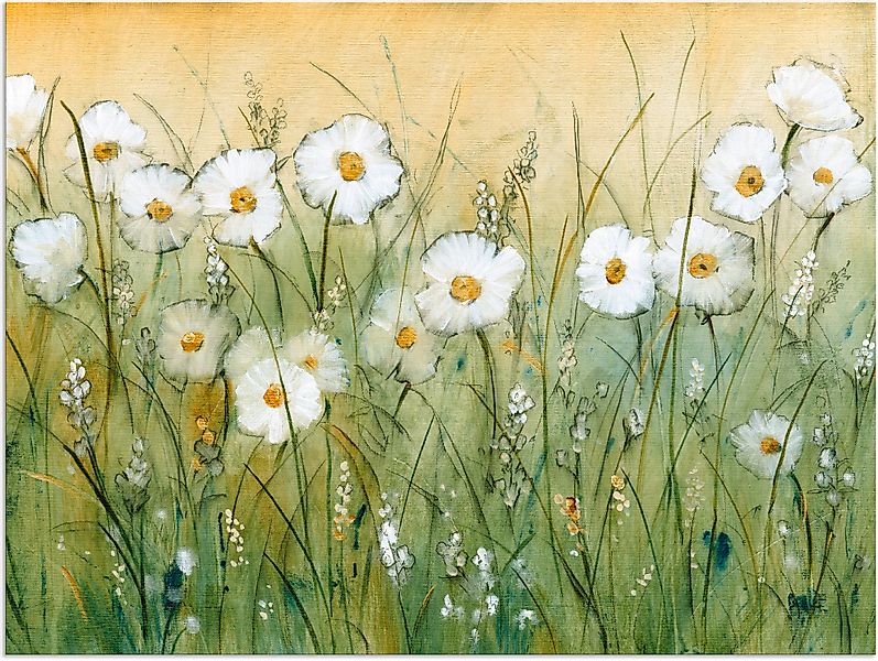 Artland Wandbild »Gänseblümchenfrühling II« 1 Stk. tlg. als Alubild, Outdoo günstig online kaufen