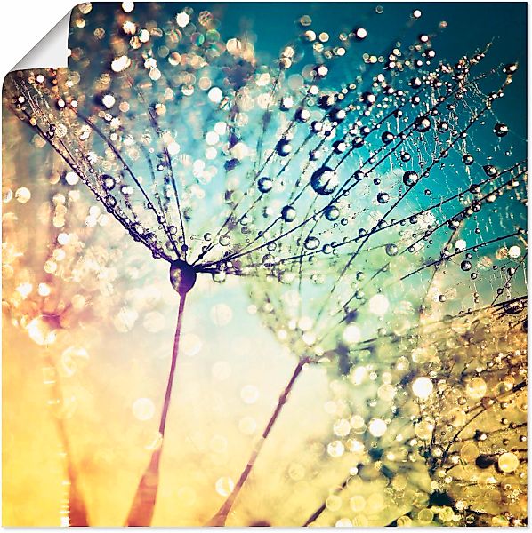 Artland Wandbild "Pusteblume Zaubertropfen" Blumen 1 Stk. tlg. als Alubild, günstig online kaufen