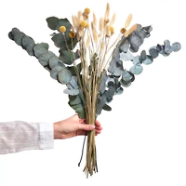 FLOWER MARKET Trockenblumen Blumenstrauß günstig online kaufen