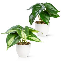 Künstliche Zimmerpflanze Kleine Kunstpflanzen & Künstliche günstig online kaufen