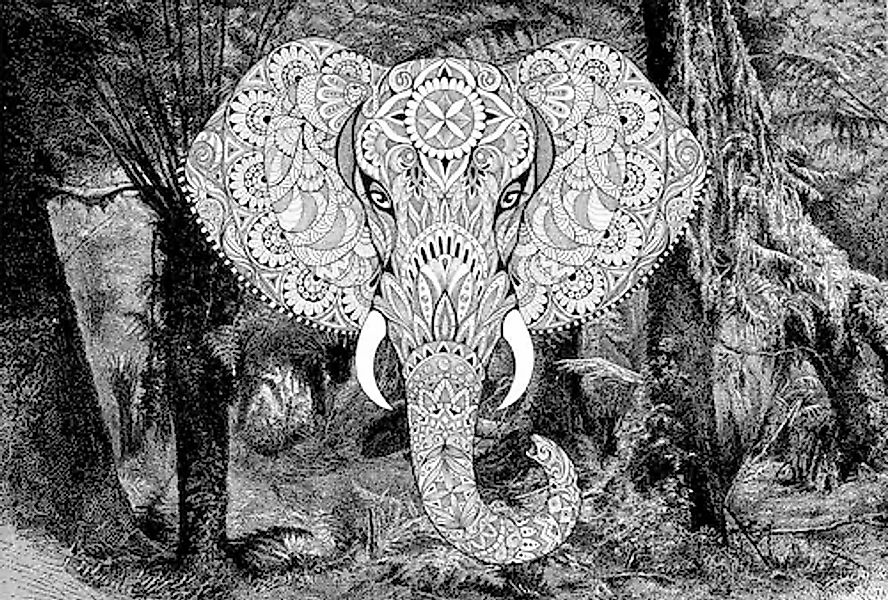 Architects Paper Fototapete »Atelier 47 Elephant Head 1« orientalisch glatt günstig online kaufen