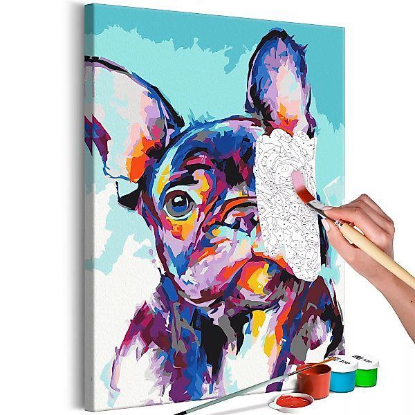 Malen Nach Zahlen - Bulldog Portrait günstig online kaufen
