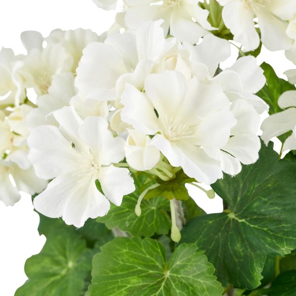 Creativ green Kunstpflanze "Geranie" in UV-beständiger Ausführung günstig online kaufen