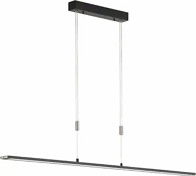 FISCHER & HONSEL LED Pendelleuchte »Metz TW«, 1 flammig, Leuchtmittel LED-B günstig online kaufen