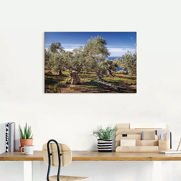 Artland Wandbild "Olivenhain in der Serra de Tramuntana", Küstenbilder, (1 günstig online kaufen