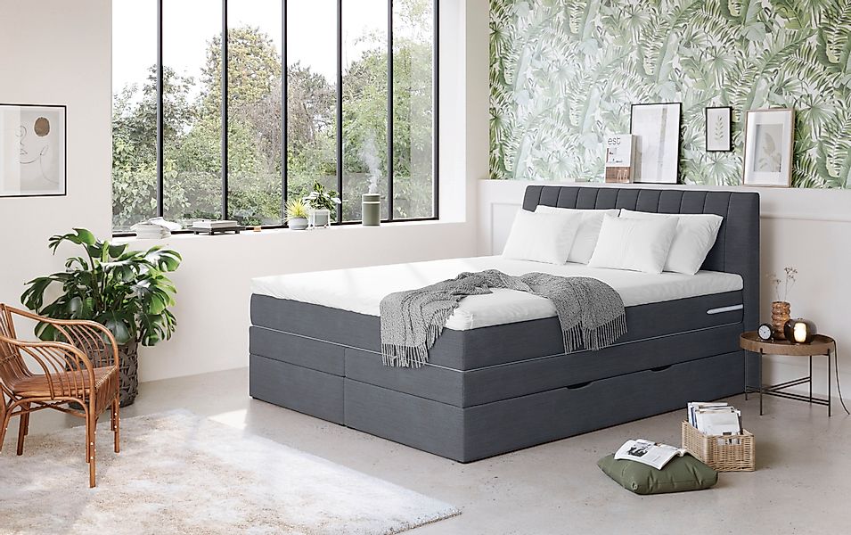 COTTA Boxspringbett »Shark inkl. Bettkasten und Topper« erhältlich in den B günstig online kaufen