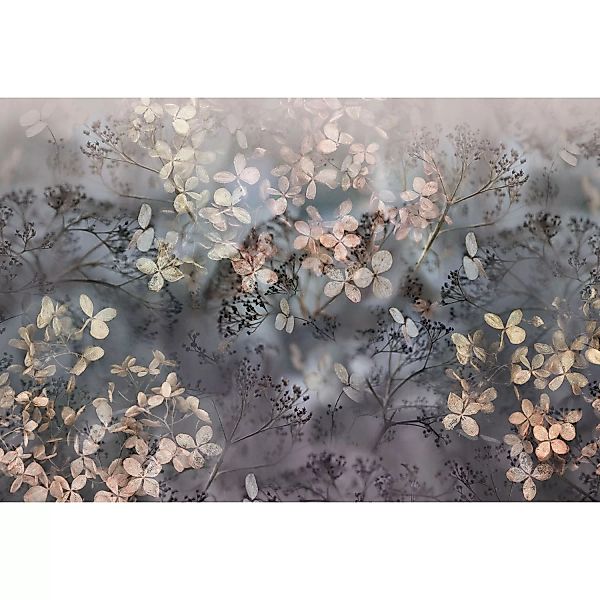 Erismann Fototapete Guido Maria Kretschmer Holunderblüten Violet 4,0m x 2,7 günstig online kaufen