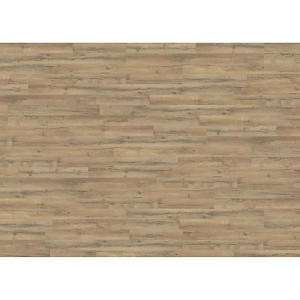 Living by Haro Laminat 7 mm Eiche Calabria günstig online kaufen
