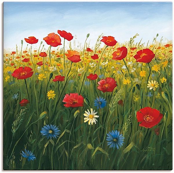 Artland Wandbild »Mohnblumen Landschaft I«, Blumenwiese, (1 St.), als Alubi günstig online kaufen