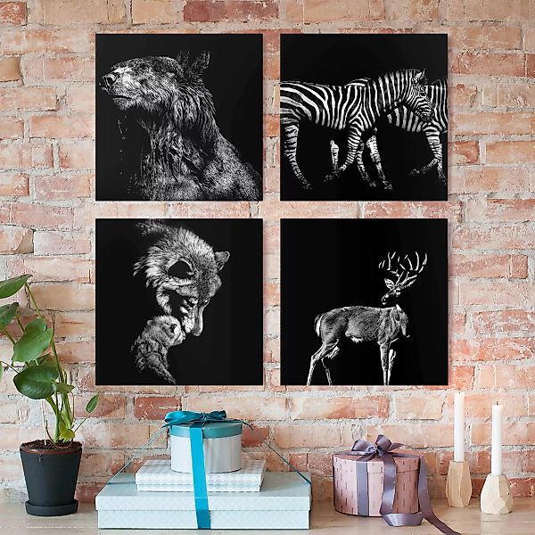 4-teiliges Leinwandbild Schwarz-Weiß - Quadrat Wildtiere vor Schwarz Set I günstig online kaufen
