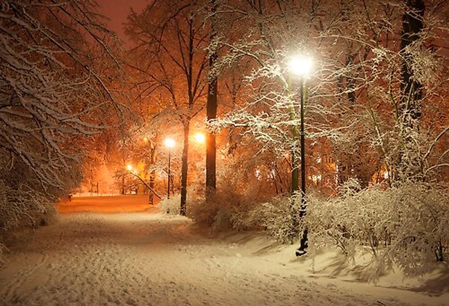 Papermoon Fototapete »Park im Winter« günstig online kaufen