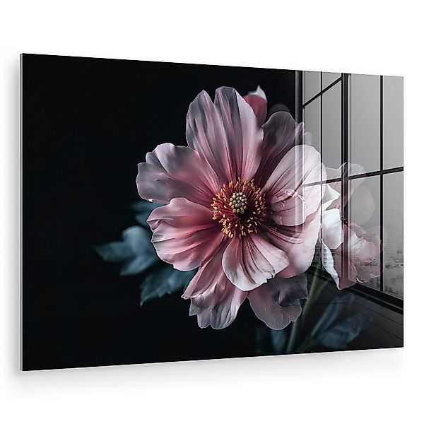 MuchoWow Acrylglasbild Blume - Rosa - günstig online kaufen