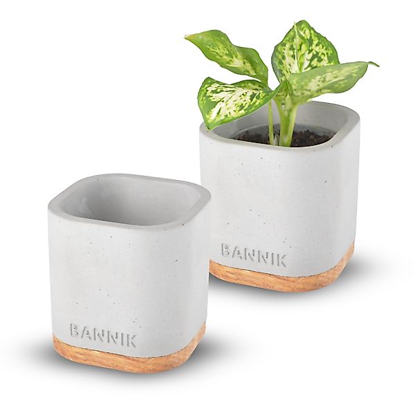 Bannik Blumentopf aus Beton und Holz günstig online kaufen