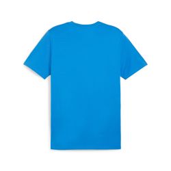 PUMA Trainingsshirt TEAMGOAL CASUALS TEE günstig online kaufen