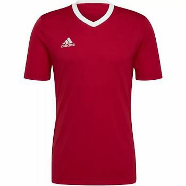 adidas  T-Shirts & Poloshirts - günstig online kaufen