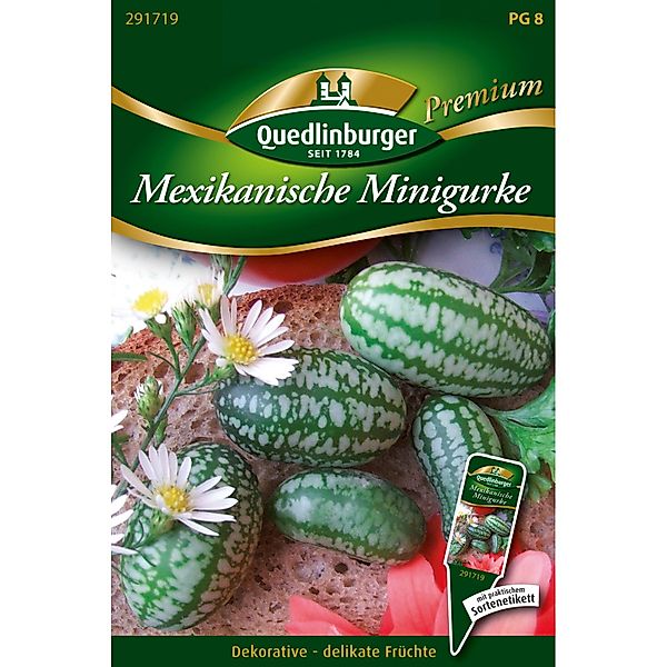 Quedlinburger Mexikanische Minigurke günstig online kaufen