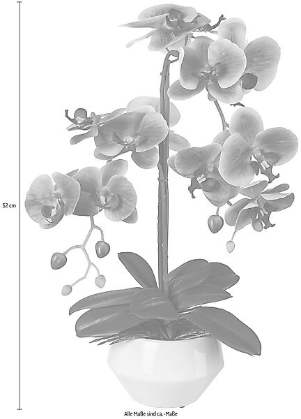 Kunstpflanze Orchidee, Creativ green, Höhe 52 günstig online kaufen