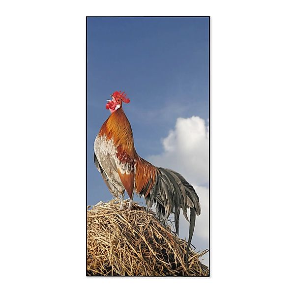 Banjado Magnettafel 37x78cm Magnetwand  Schwarz Aus Metall Magnetpinnwand P günstig online kaufen