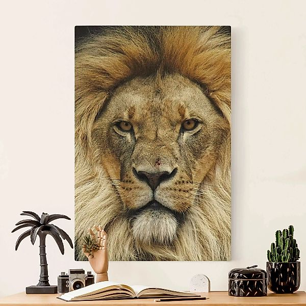 Leinwandbild auf Naturcanvas Wisdom of Lion günstig online kaufen