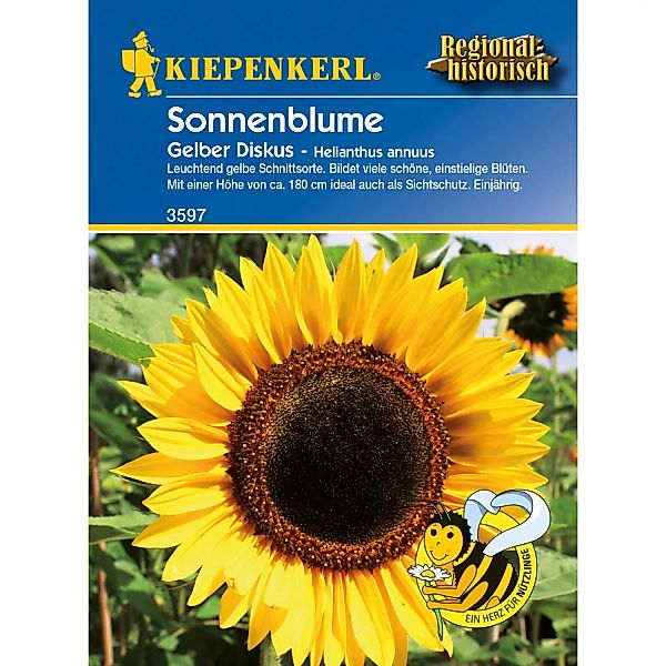 Kiepenkerl Sonnenblume Gelber Diskus Helianthus günstig online kaufen