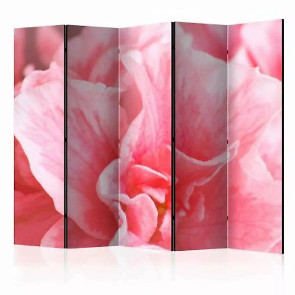 artgeist Paravent Pink azalea flowers II [Room Dividers] rosa Gr. 225 x 172 günstig online kaufen