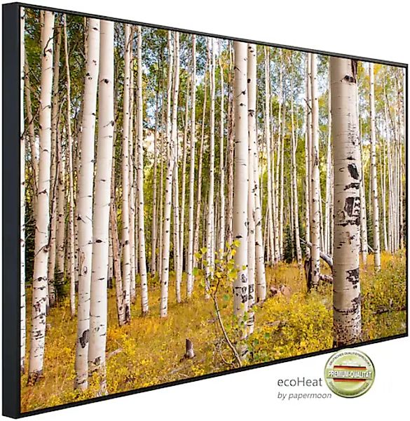 Papermoon Infrarotheizung »Birken in Colorado Rocky Mountains«, sehr angene günstig online kaufen
