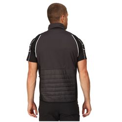 Regatta Funktionsjacke Softshelljacke Steren Hybrid günstig online kaufen