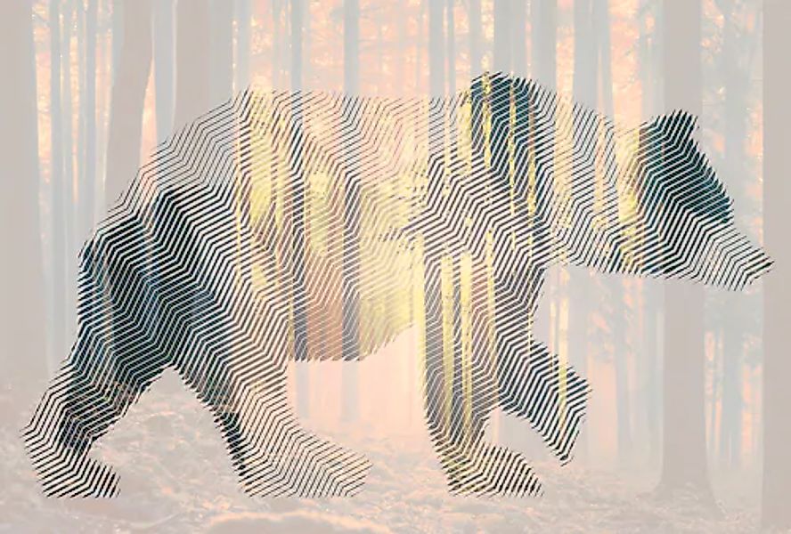 Architects Paper Fototapete »Atelier 47 Bear Forest 1« Wald glatt Vlies, Wa günstig online kaufen