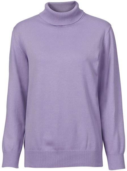 Witt Strickpullover Rollkragenpullover günstig online kaufen